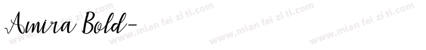 Amira Bold字体转换